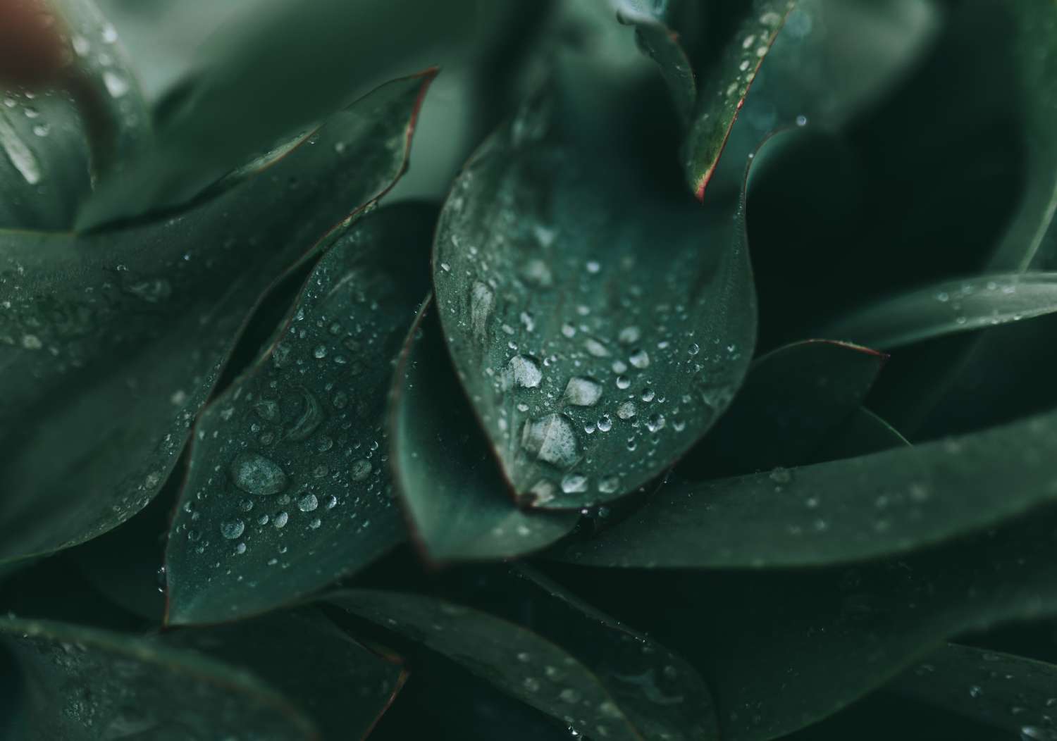 nhungxedien.com -anh3
