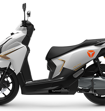 Velax-trang-8807